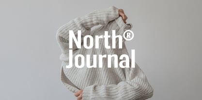 FT Neue Buddy Font Poster 13