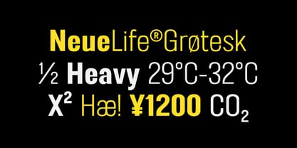 FT Neue Buddy Font Poster 6