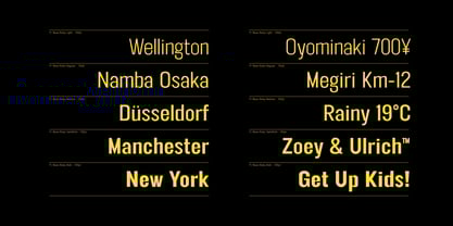 FT Neue Buddy Font Poster 4