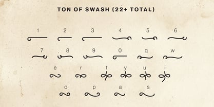 Travel Growth Duo Font Poster 14