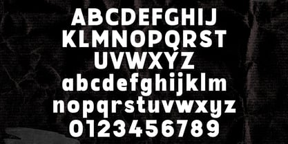 Travel Growth Duo Font Poster 11