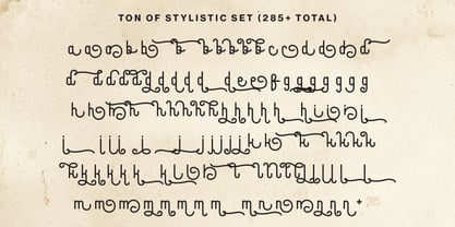 Travel Growth Duo Font Poster 13