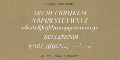 Bardguine Font Poster 6