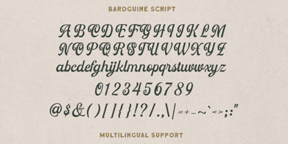 Bardguine Font Poster 5