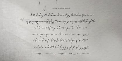 The Dearling Font Poster 12