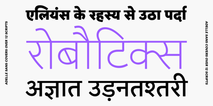 Adelle Sans Devanagari Font Poster 3