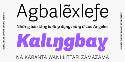 Adelle Sans Extended Font Poster 3