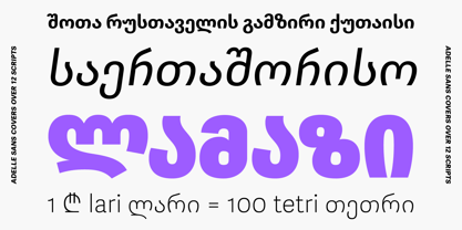 Adelle Sans Georgian Font Poster 3