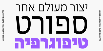 Adelle Sans Hebrew Font Poster 3