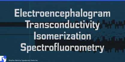 Polyflec Font Poster 2