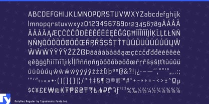 Polyflec Font Poster 7