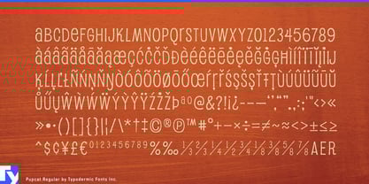 Pupcat Font Poster 7
