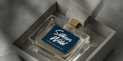 Mountain Silent Font Poster 5