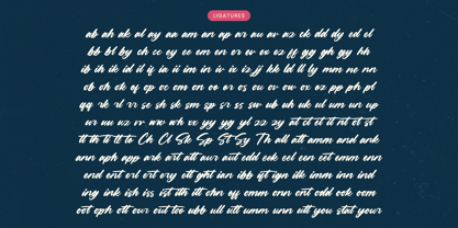 Mountain Silent Font Poster 14