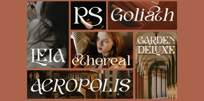 Lotus History Font Poster 4