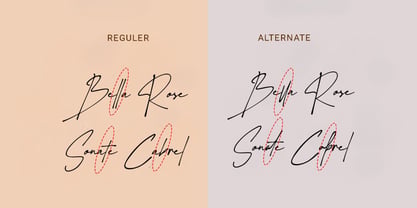 Sunset Beauty Font Poster 4