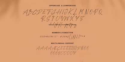 Sunset Beauty Font Poster 11