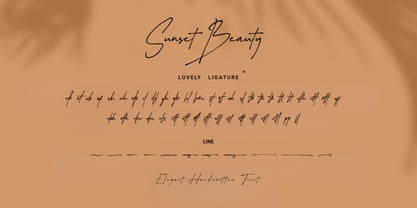 Sunset Beauty Font Poster 12