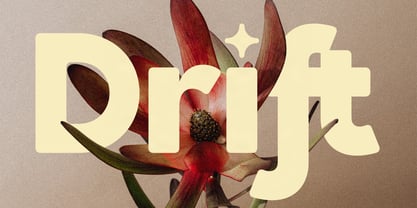SLTF Saffielle Font Poster 3