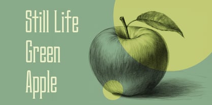 Rovyelle Font Poster 5