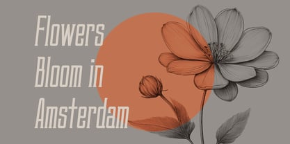 Rovyelle Font Poster 2