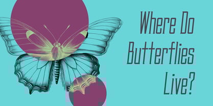 Rovyelle Font Poster 3