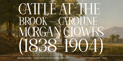 Amelissa Partis Font Poster 5