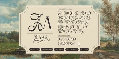 Amelissa Partis Font Poster 8