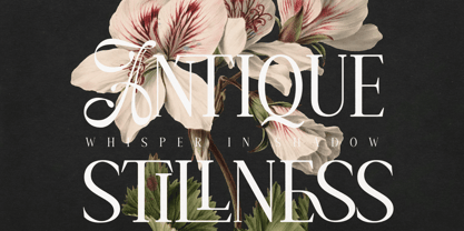 Amelissa Partis Font Poster 3