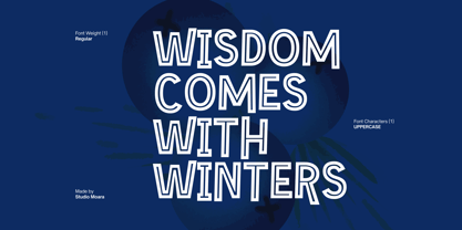 Winter Wonder Font Poster 3
