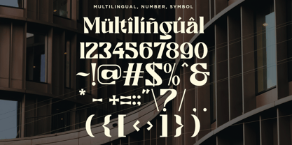 Ronikel Font Poster 13