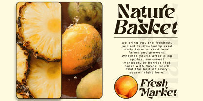 Ronikel Font Poster 6