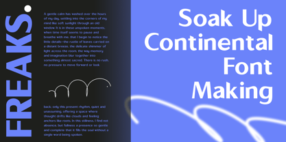 Sallona Pro Variable Font Poster 2