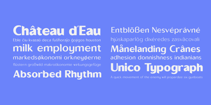 Sallona Pro Variable Font Poster 8