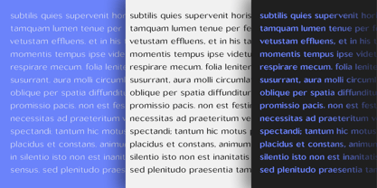 Sallona Pro Variable Font Poster 9