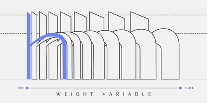 Sallona Pro Variable Font Poster 7