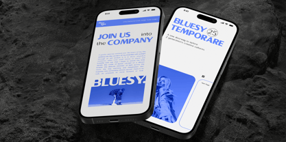 Sallona Pro Variable Font Poster 5