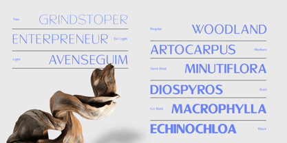 Sallona Pro Variable Font Poster 3