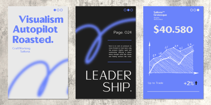 Sallona Pro Variable Font Poster 4