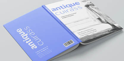 Sallona Pro Variable Font Poster 6