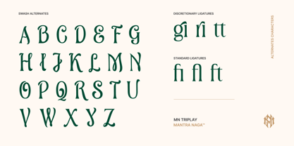 MN Triplay Serif Font Poster 8