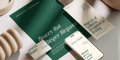 MN Triplay Serif Font Poster 12