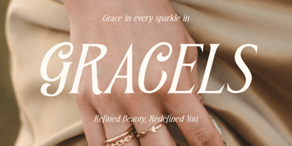 MN Triplay Serif Font Poster 5