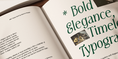 MN Triplay Serif Font Poster 14