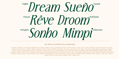 MN Triplay Serif Font Poster 10