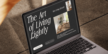 MN Triplay Serif Font Poster 13