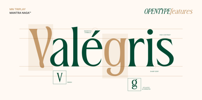 MN Triplay Serif Font Poster 9
