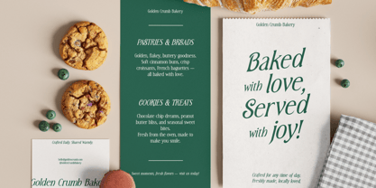 MN Triplay Serif Font Poster 11