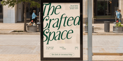 MN Triplay Serif Font Poster 15