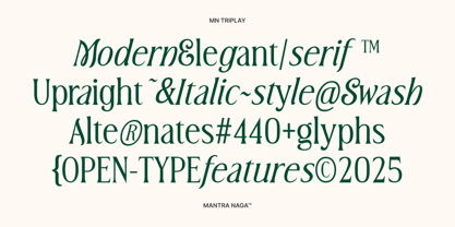 MN Triplay Serif Font Poster 2